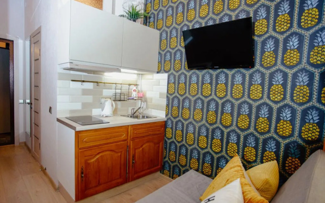 Квартира студия на Пестеля 14кв