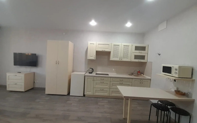 Апартаменты Студия Переулок Светлогорский