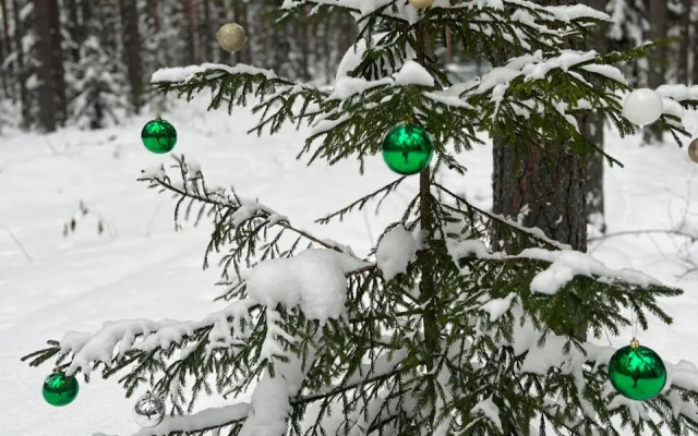 Гостевой дом Seliger soul