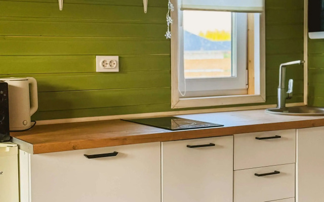 Частный дом Флора