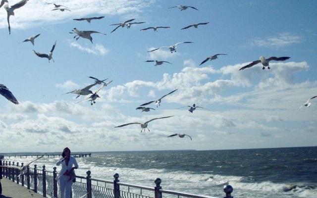 Квартира Большая Окружная 2Б/1