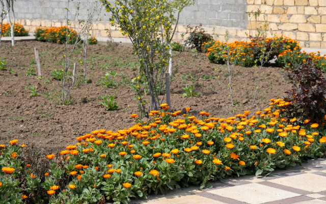 Гостевой дом Домик у Каспия