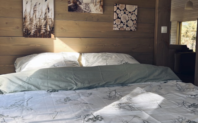 101 V Sosnakh Guest house