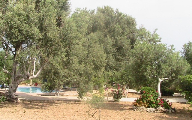 Afroditi Villa