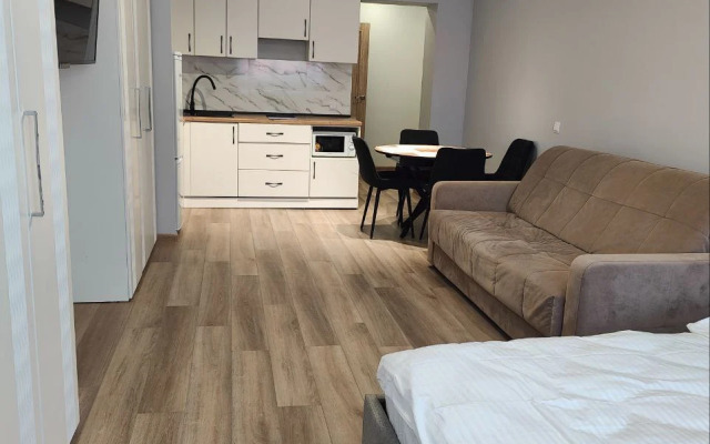 Квартира Стильная студия у Храма