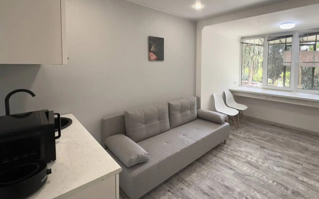 Квартира Студия Курортный Проспект