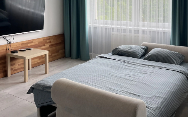 Апартаменты Гагарина 1