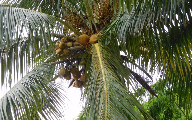 Отель Habitaciones América Rotamundos