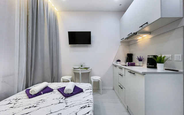 Апартаменты Студия м.Маяковская