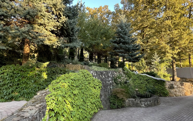 Частный дом с выходом в лес