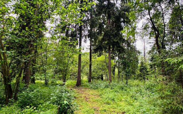 Zeleny Domik V Lesu Na Zhivopisnoy Ulitse Glamping