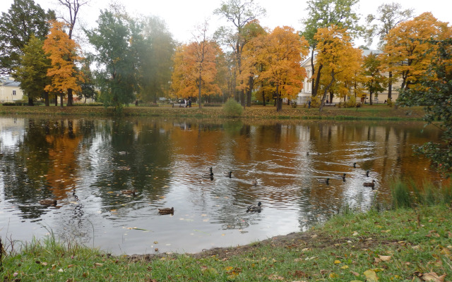 Квартира Soul Home