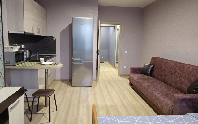 Severent na Dzerzhinskogo 3 Apartments