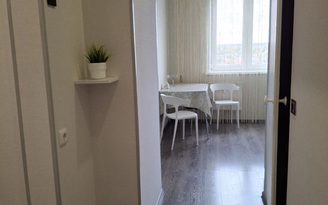 Odnokomnatnaya V Levshino Flat
