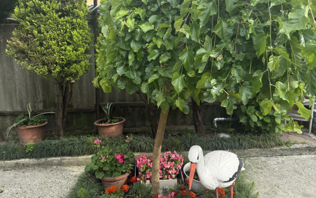 BoxHouse Guest house