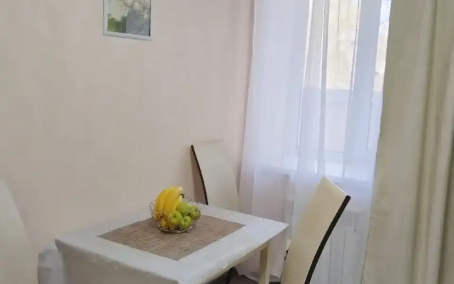 V Tsentre Goroda Flat