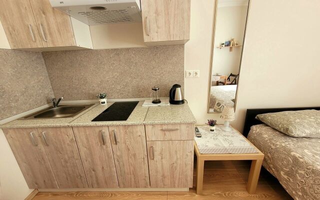 Квартира - студия в иcтoричeскoм цeнтре Санкт-Пeтеpбургa (1)