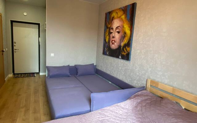 Квартира Ласточка на Дачной