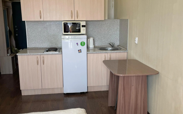 Квартира Светлая Студия на Лермонтова 31