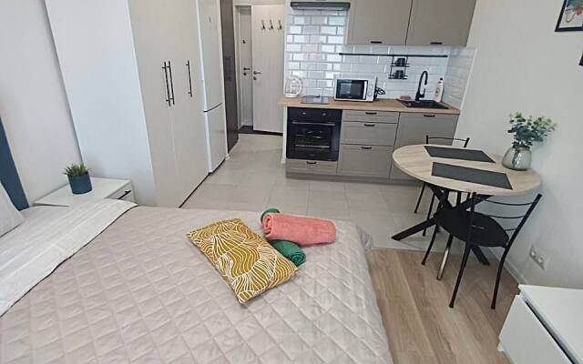 Sosnovaya 5/1 ProApart Apartments