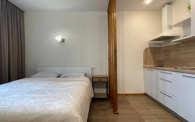 Квартира Sibkvart Красноярская 107