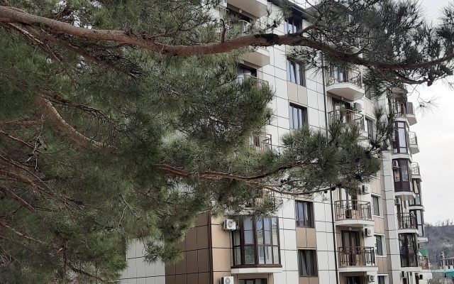 Na Beregu Morya Apartment