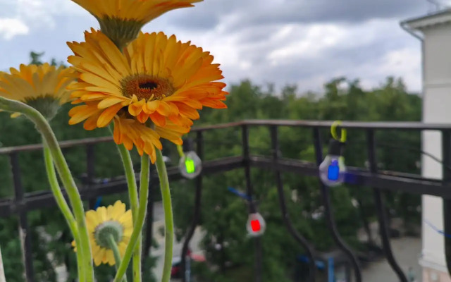 Квартира Ленина 99 -Балкон &Кафе