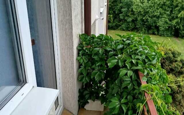 Квартира На Шаманова