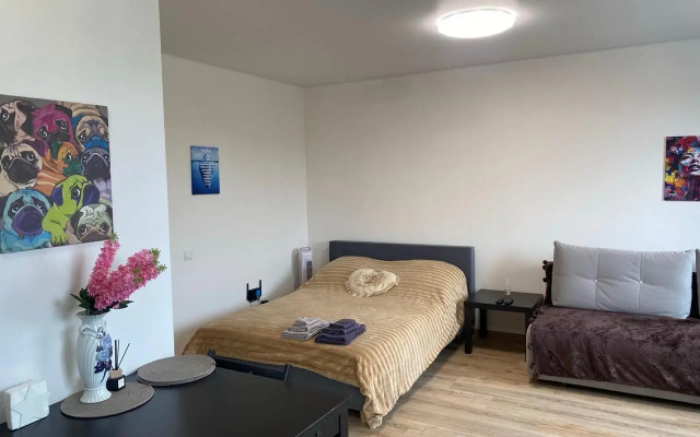 Квартира у Петровны, Студия с кофемашиной