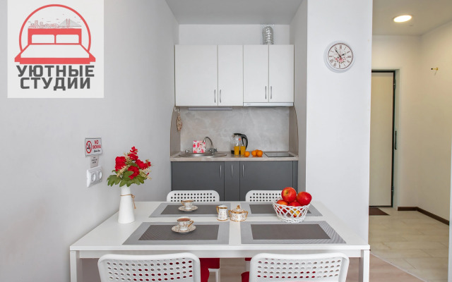 Уютная студия 1 на улице Фастовская