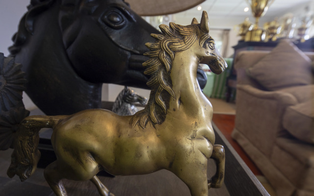 Hill Rise Luxury Villa & Stables by Edwards Collection Villa