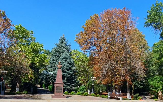 Отель Центральная