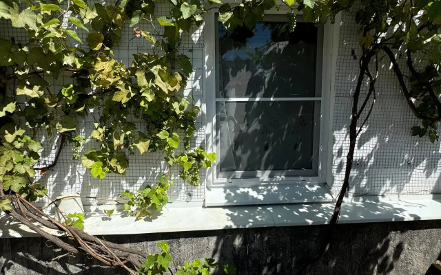 Квартира с собственным двориком в парке Цветник