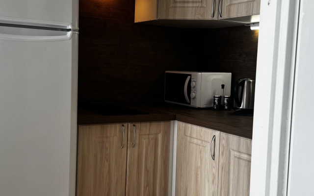 Апартаменты Уютные Кронверкский проспект