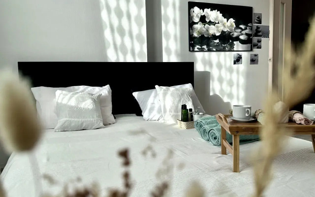 Na Ulitse Chkalova 231 Flat