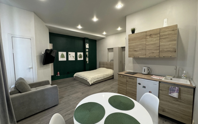Studiya v tsentre goroda Flat