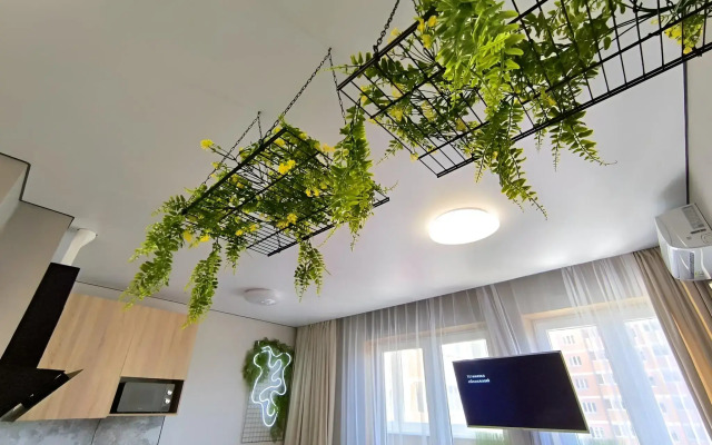 Квартира ЭКО-студия