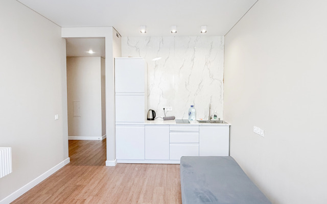 Квартира на улице Радищева 41