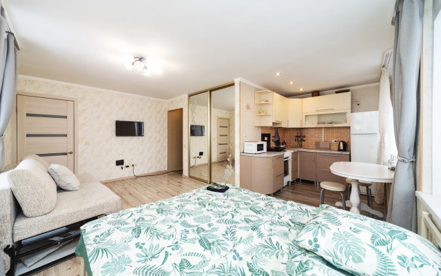 Квартирауютная студия в центре индустриального района