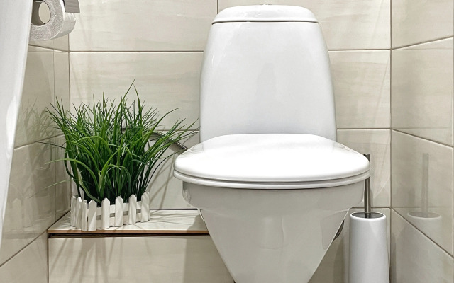 Studiya Romashka Flat