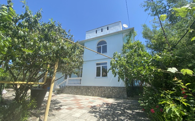 Villa F1