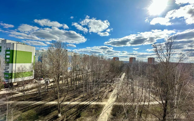 Квартира 2х комнатная с видом на парк