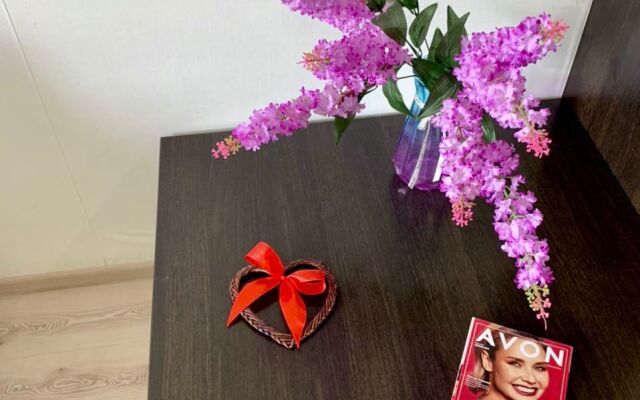 Апартаменты в центе Тюмени, Гелерея Вояж, Гор Сад