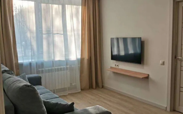 Dvukhkomnatnaya Na Lensoveta 9/24 Flat
