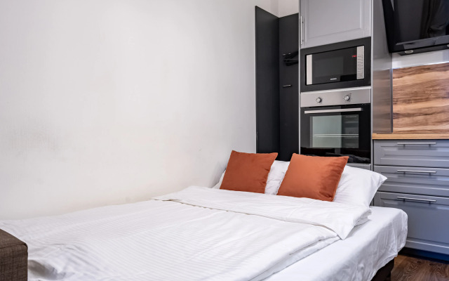 Odnokomnatnaya Na Petrogradke Flat