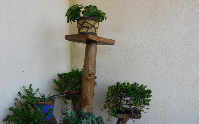 Отель El Huizache Rotamundos