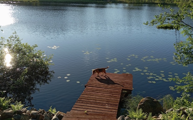 Гостевой дом Меличуярви Щука