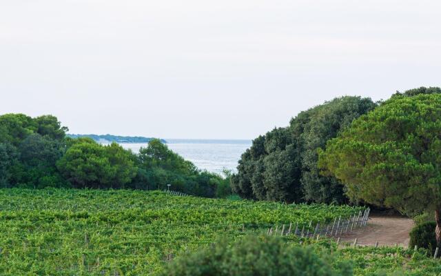 Masseria Mongiò dell'Elefante
