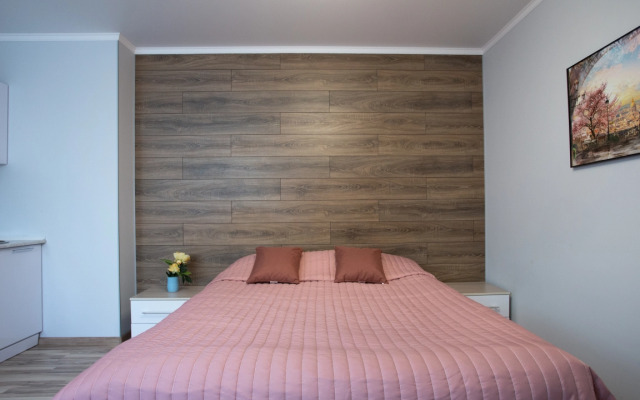 Комфортные апартаменты Этажидейли Белинского 30