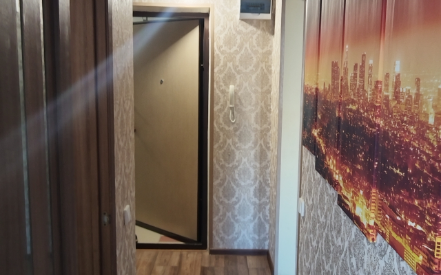Квартира Ул Емлина 29а